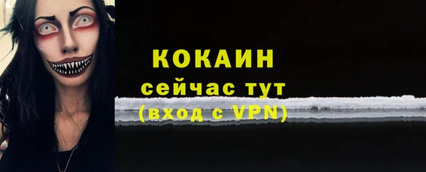 мяу мяу мука Медвежьегорск