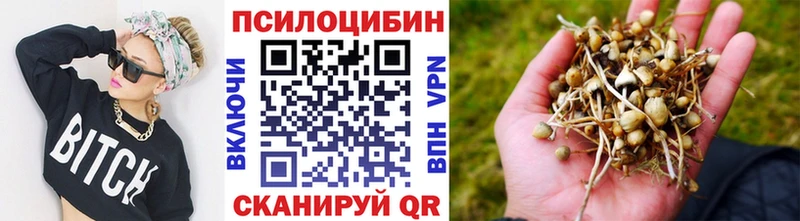 Галлюциногенные грибы Psilocybine cubensis Уржум